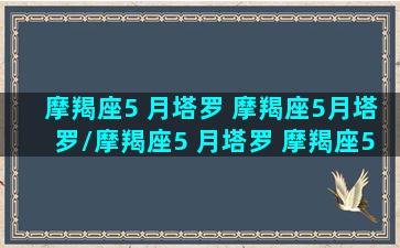 摩羯座5 月塔罗 摩羯座5月塔罗/摩羯座5 月塔罗 摩羯座5月塔罗-我的网站